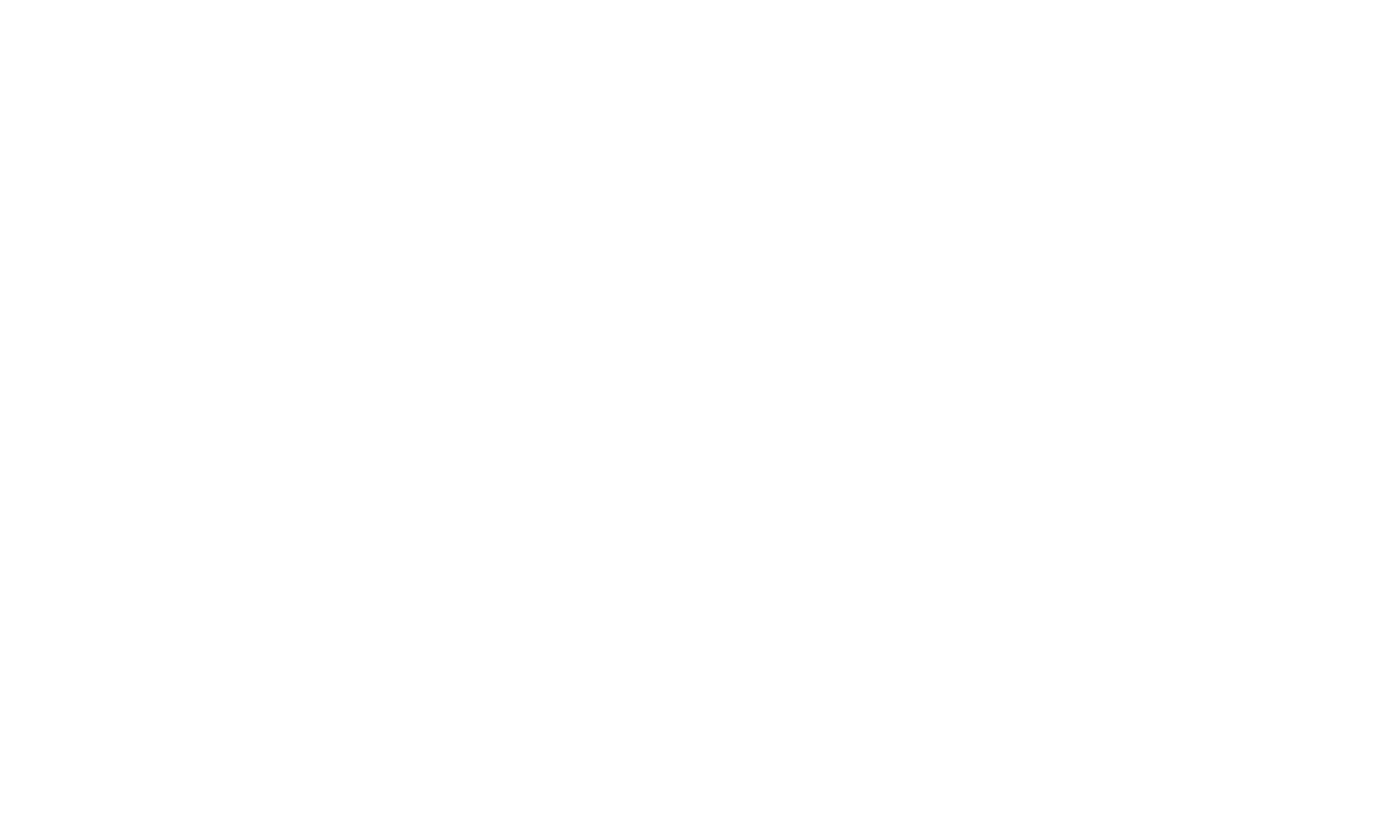 SAYOKO JEWELS Logo White